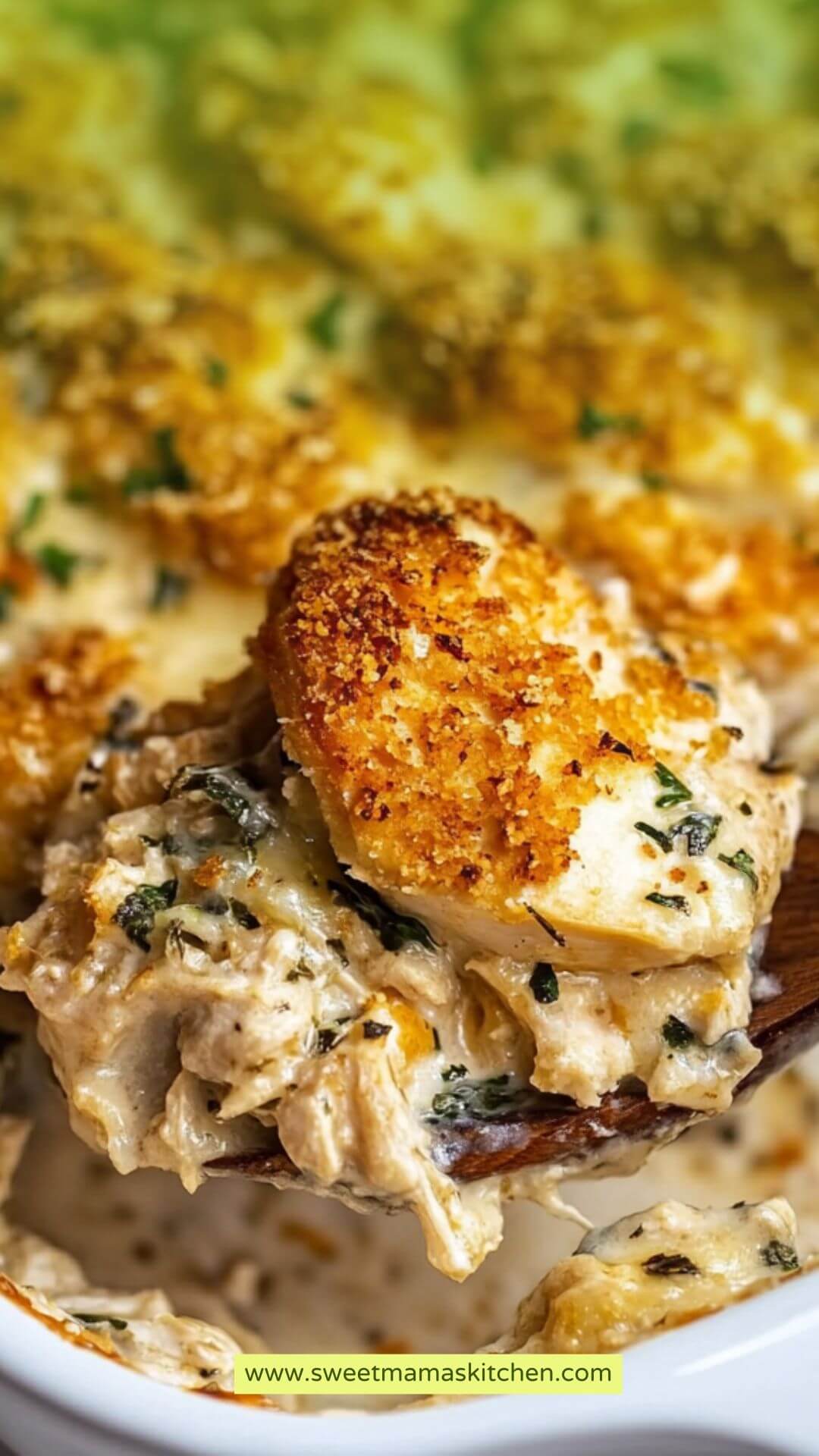 Best Million Dollar Chicken Casserole Recipe