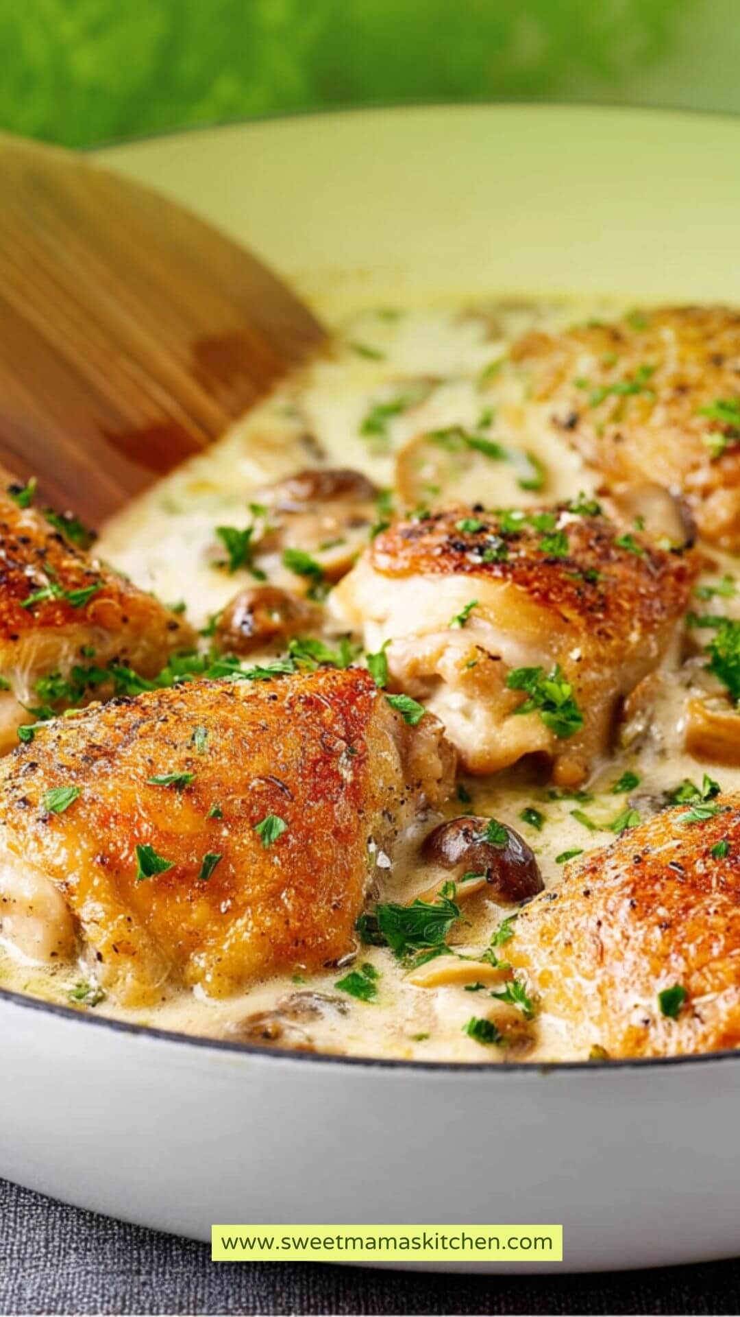 Best French Chicken Casserole Recipes