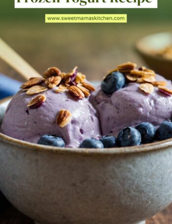 Quick Healthy Blueberry Coconut Frozen Yogurt Recipe