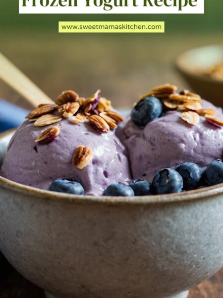 Quick Healthy Blueberry Coconut Frozen Yogurt Recipe