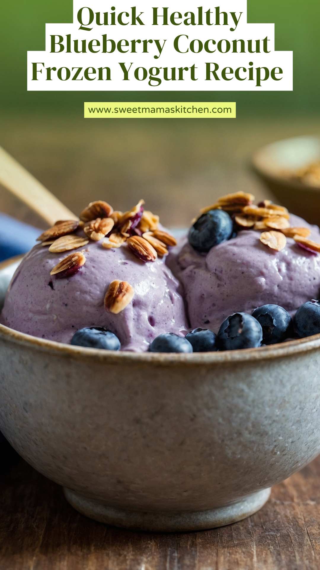 Quick Healthy Blueberry Coconut Frozen Yogurt Recipe